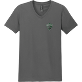 Lansing Spartans Softstyle V-Neck T-Shirt