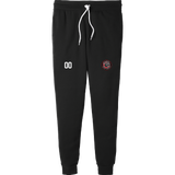 Palmyra Black Knights Tier 2 Breakaway Adult Jogger Pants