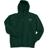 Lansing Spartans Super Heavyweight Fleece Hoodie