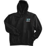 Boca Barracudas Super Heavyweight Fleece Hoodie