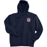 Knights Youth Football Super Heavyweight Fleece Hoodie