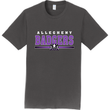 Lady Badgers Adult Fan Favorite Tee
