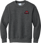 Philadelphia Resistance Youth Core Fleece Crewneck Sweatshirt
